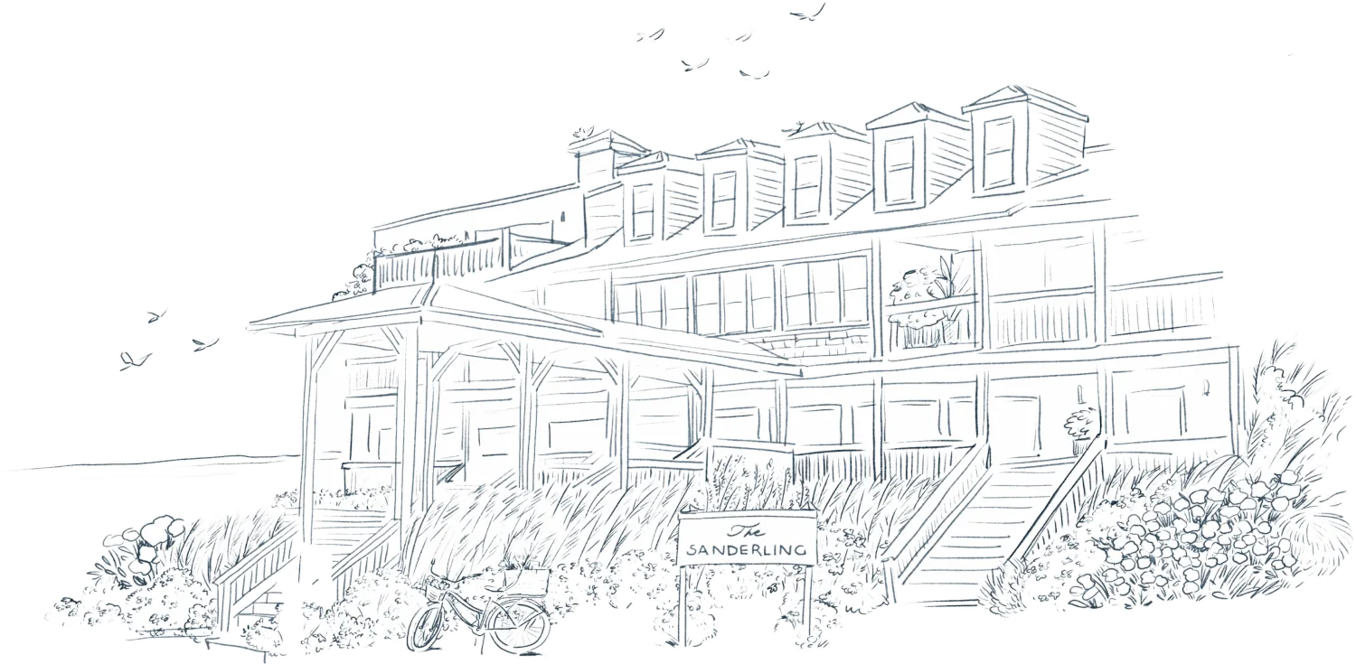 Pencil drawing of the Hotel Sanderling residence, overlooking the sea, with seagulls soaring in the sky and a bicycle parked at the door.